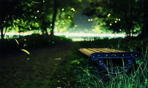 最后的同信府，最后的市中心庭院洋房