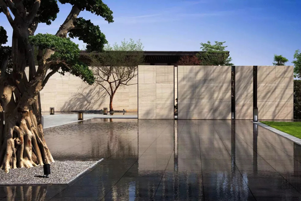 心之所向，桃花源！