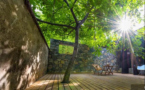 同信·愛(ài)家壹號(hào)|曾經(jīng)江湖策馬，如今院里觀花！