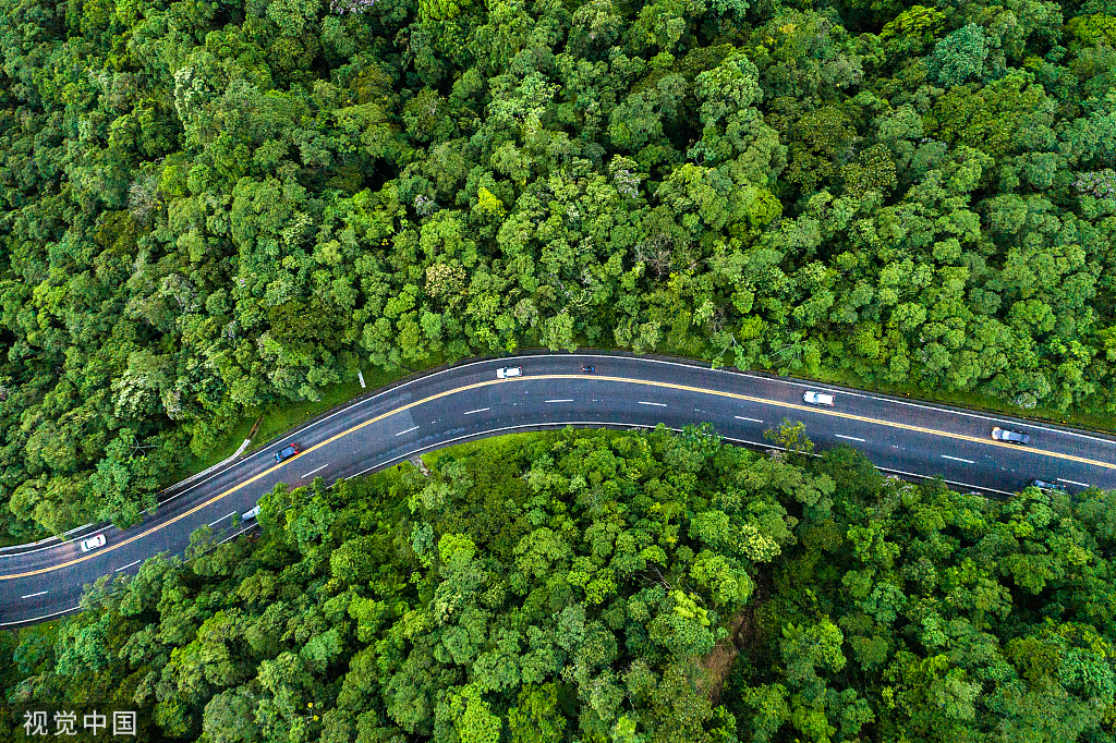 福利請(qǐng)查收丨點(diǎn)亮團(tuán)圓路，與愛(ài)相伴同心同行！