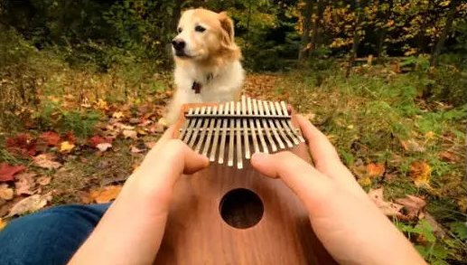 河畔有約丨看見(jiàn)指尖藝術(shù)，聆聽(tīng)幻彩音符！