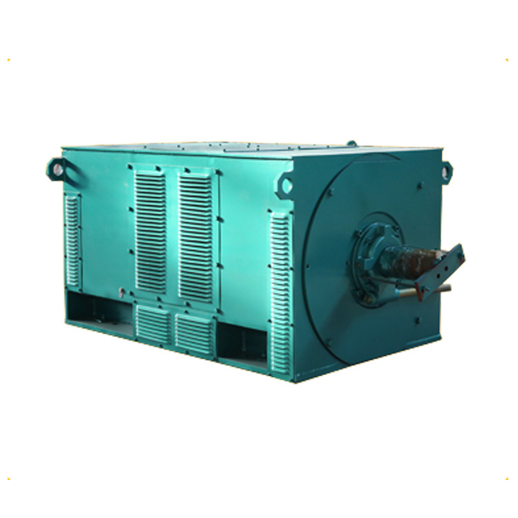 Y系列高壓三相異步電動(dòng)機(jī)