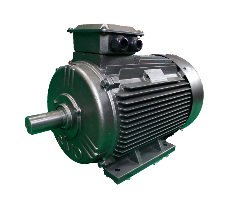 TYE4系列低壓高效永磁同步電機(jī)